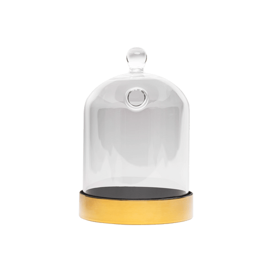 Buy Glassware - Cloche - Drink - Small Online - Flavour Blaster