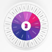 Buy Aroma - Pineapple Online - Flavour Blaster