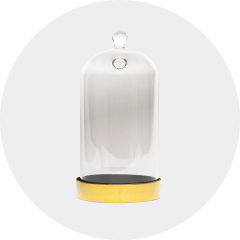 Image_50e8f8ed-d30d-4c95-bec3-ff06de832498