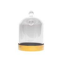 Buy Glassware - Cloche - Drink - Small Online - Flavour Blaster