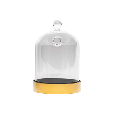 Buy Glassware - Cloche - Drink - Small Online - Flavour Blaster