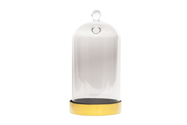 Glassware - Cloche - Drink - Large